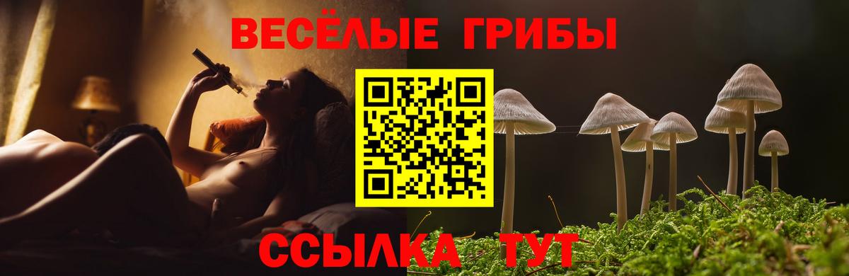 Азнакаево  Псилоцибиновые грибы Psilocybine cubensis  Вход с VPN 